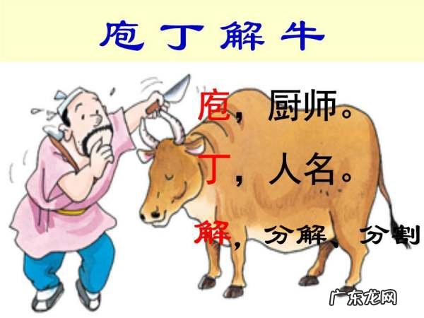 庖丁解牛的道是什么,庖丁解牛主要讲的是什么