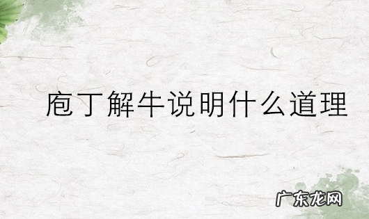 庖丁解牛的道是什么,庖丁解牛主要讲的是什么