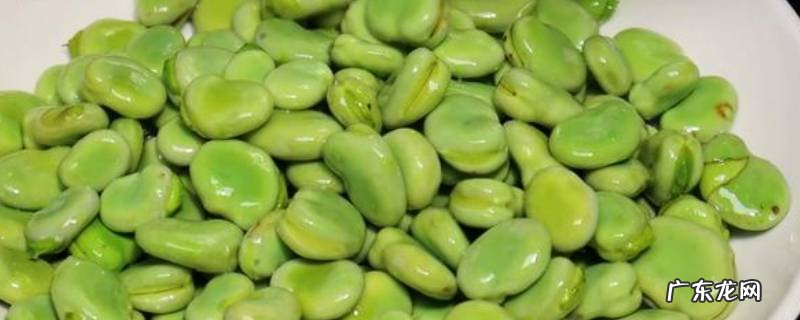 青蚕豆放冰箱怎么保存 青蚕豆怎么保存才新鲜