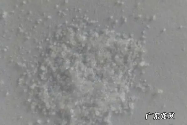 怎么样让鸡蛋站起来,如何让鸡蛋立起来