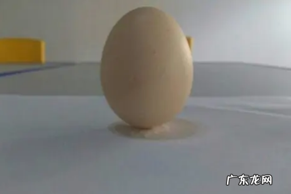 怎么样让鸡蛋站起来,如何让鸡蛋立起来