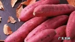 红薯的种类介绍,红薯种类