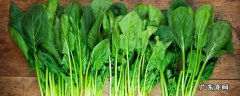 菠菜怎么吃 菠菜怎么吃最有营养