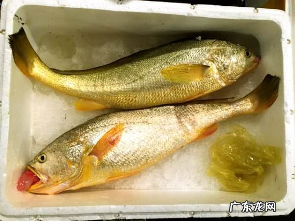 冰过黄鱼怎么有臭味,黄花鱼冷冻的时间久了还能吃