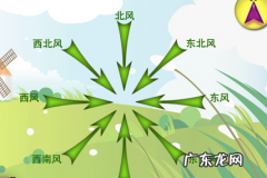 测量风向的仪器叫,测量风向的仪器叫什么