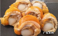 冷冻皇冠贝肉怎么处理,冷冻扇贝肉怎么处理干净