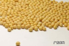 吃大豆会发胖,大豆吃多会长胖
