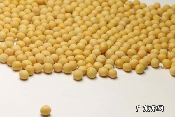 吃大豆会发胖,大豆吃多会长胖