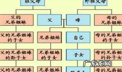 直系亲属包括哪些兄弟,直系亲属包括哪些兄弟姐妹是不是直系亲属