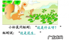 关于松鼠的知识,怎样介绍松鼠的