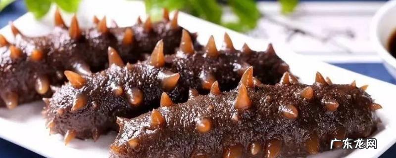 海参的食用方法海参怎么吃 海参食用方法怎么吃