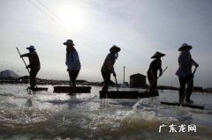 两横一竖是什么姓氏,两横一竖是什么字