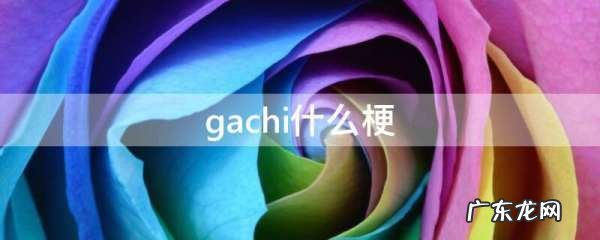 gachi距离什么梗 啥意思,gachi怎么登录