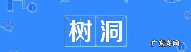 树洞是什么 树洞的意思,树洞是什么意思