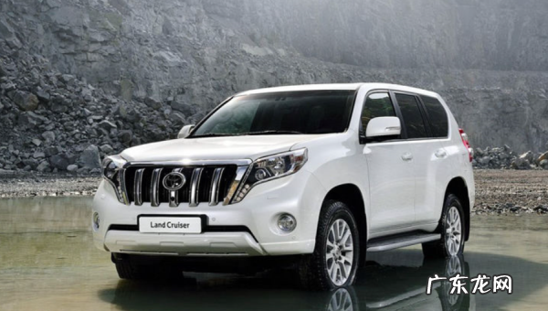 普拉多vxnavi是什么意思,普拉多txvxgx什么意思