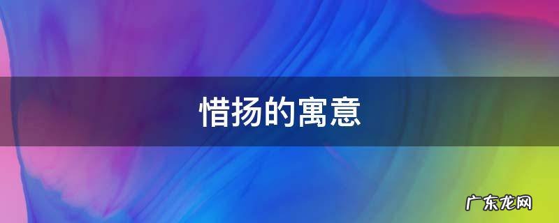 扬的寓意是什么 惜扬的寓意