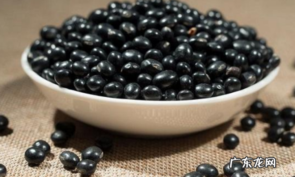 黑豆怎么发豆芽,怎么发黑豆芽 在家里养
