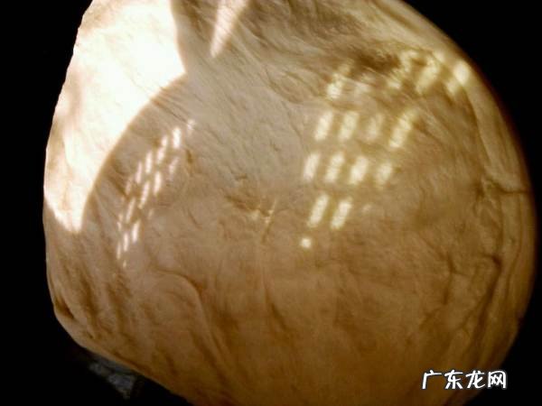 为什么面团搓不成长条,做面包揉面粘案板怎么办