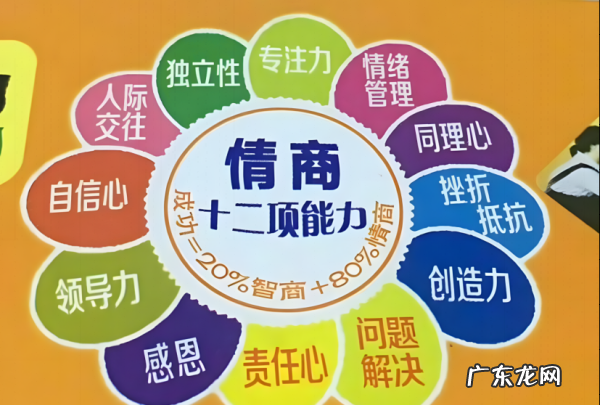 sq内容是什么,网易云的sq是什么意思