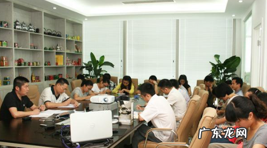sq内容是什么,网易云的sq是什么意思
