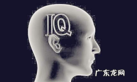 sq内容是什么,网易云的sq是什么意思