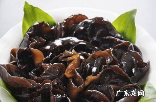 泡好的黑木耳隔夜可吃,泡好的木耳放冰箱隔夜能吃