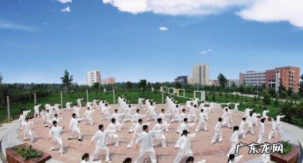 倒卷肱是简化24式太极拳第几式,24式太极拳分解教学 全套演示