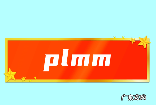 plmm表示什么,plmm是什么意思网络用语