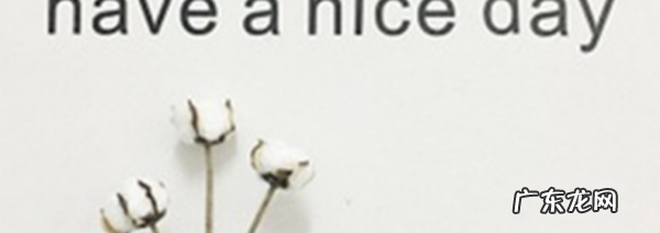 nice是什么梗 啥意思,网络语言nice是什么意思