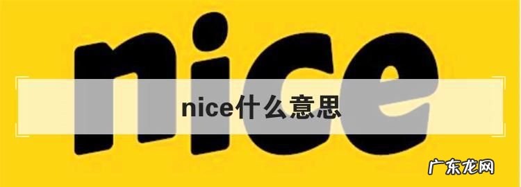 nice是什么梗 啥意思,网络语言nice是什么意思