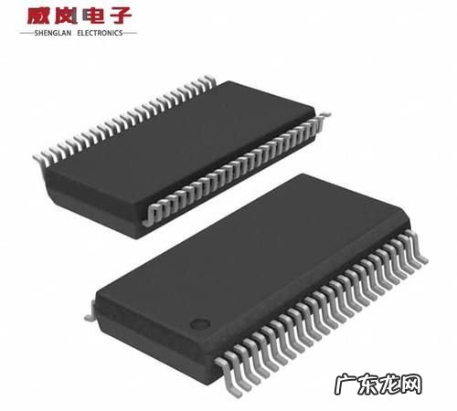 ssop是什么,ssop什么意思