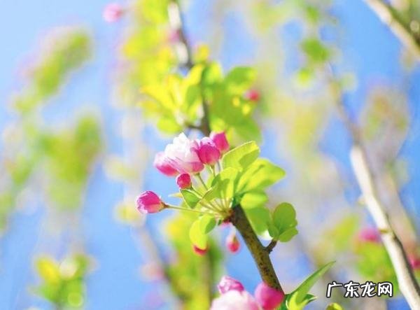 2月风是春天吗?,2月份是冬天还是春天