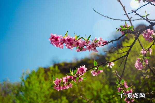 2月风是春天吗?,2月份是冬天还是春天