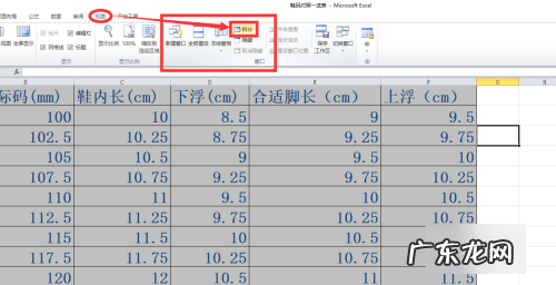 表格如何冻结窗口,excel怎么冻结解冻窗口
