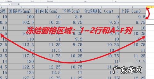 表格如何冻结窗口,excel怎么冻结解冻窗口