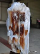 树化玉值钱,辽宁北票树化玉有没有收藏价值