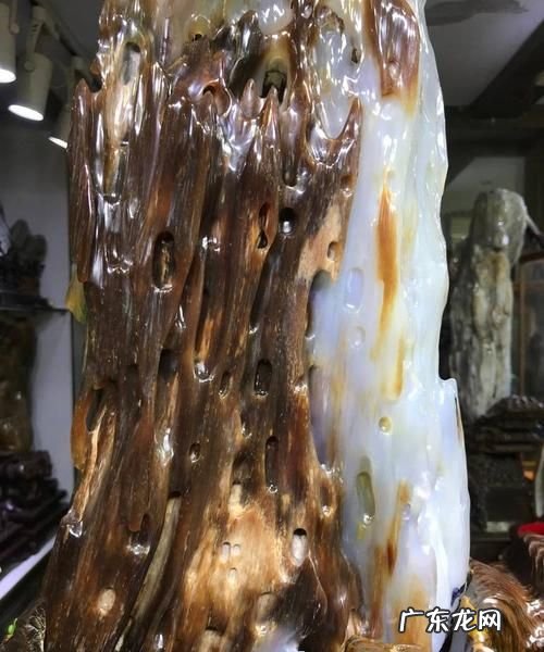 树化玉值钱,辽宁北票树化玉有没有收藏价值