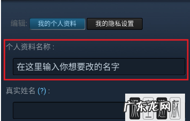 csgo名字怎么改,Csgo名称标签怎么用