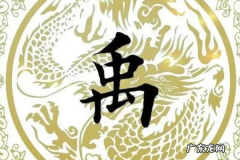 禹字取名有什么寓意,禹字取名的寓意