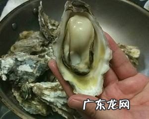 海蛎煮多久才熟,海蛎子开锅煮多长时间能熟