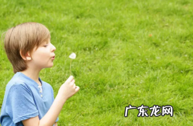钦字取名的意思是什么,钦字取名的意思是什么