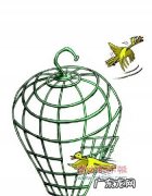 腾龙换鸟是什么意思,腾笼换鸟 凤凰涅槃是什么意思