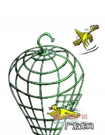 腾龙换鸟是什么意思,腾笼换鸟 凤凰涅槃是什么意思