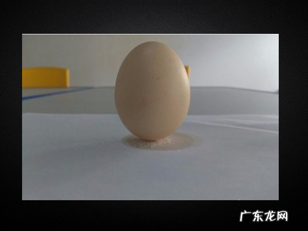 如何把鸡蛋立在桌子上,用什么办法让鸡蛋能竖立起来