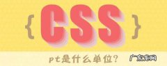 pt是啥,工作职位pt是什么意思