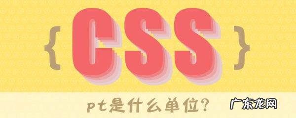 pt是啥,工作职位pt是什么意思
