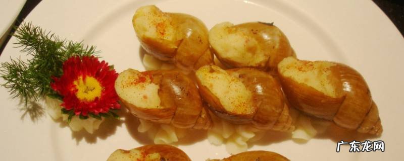 蜗牛怎么吃鸡蛋壳 蜗牛怎么吃