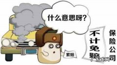不计免赔特约险是什么意思,不计免赔车险什么意思