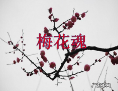 梅花魂写了哪三件事,《梅花魂》课文写了几件事