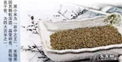 黑小米跟黄小米有什么区别,黑小米和黄小米的区别的功效与作用